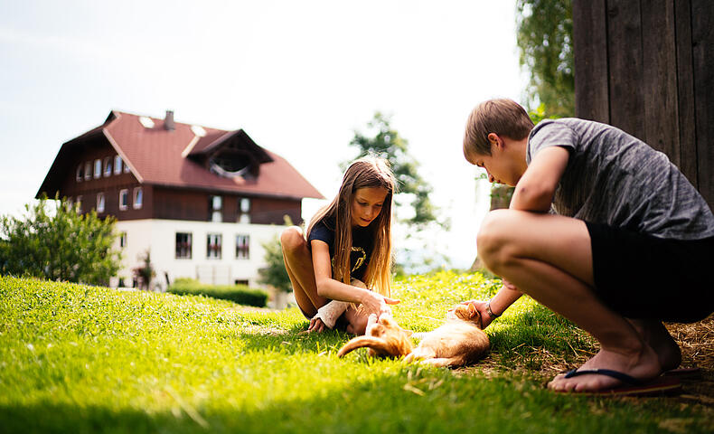 Katzen zum Kuscheln und Spielen im Sommerurlaub auf dem Bauernhof in Kärnten © Daniel Gollner_Urlaub am Bauernhof
