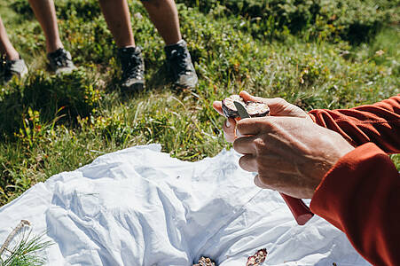 „Altes Wissen neu entdeckt“ – Kräuterwanderung Turracher Höhe