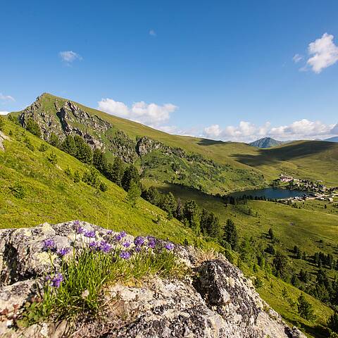 Panorama Falkert © Franz Gerdl_MBN Tourismus