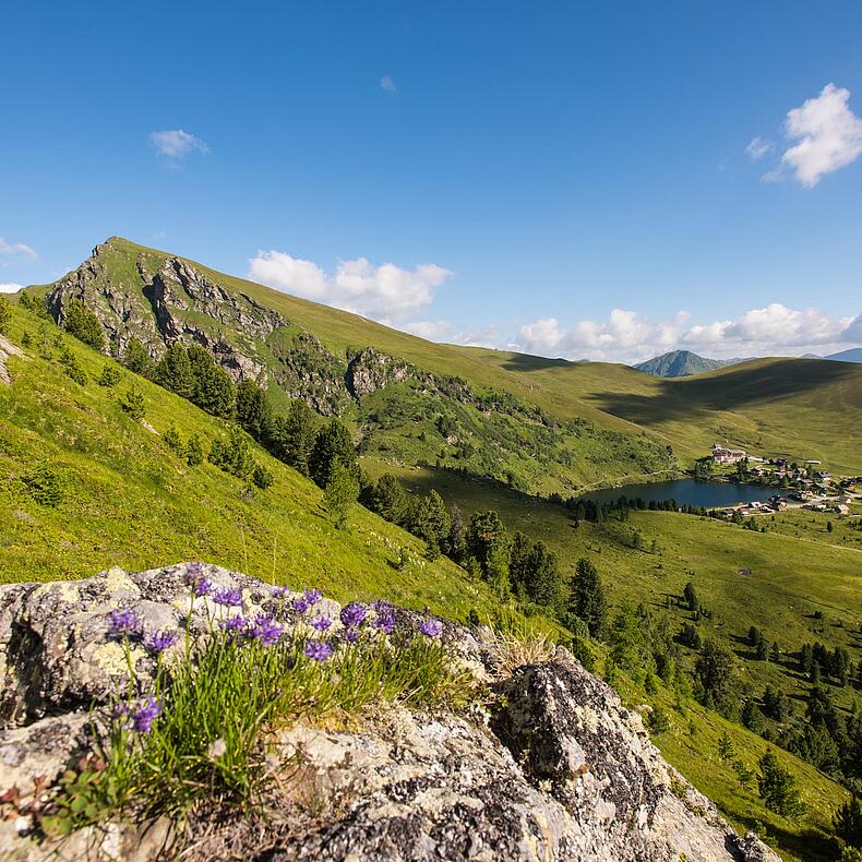 Panorama Falkert © Franz Gerdl_MBN Tourismus