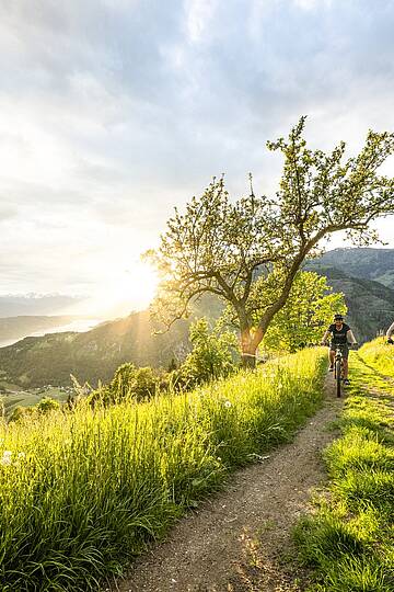 Radweg für Groß und Klein am Millstätter See © Gert Perauer
