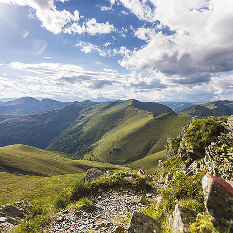 Panorama vom Falkert im Sommer