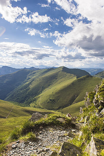 Panorama vom Falkert im Sommer