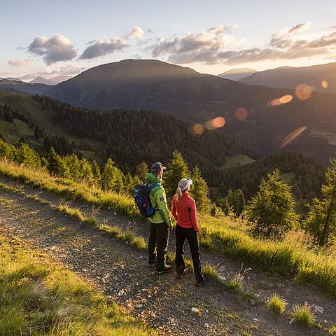 Wandern im Herbst am Nockberge-Trail, Falkert