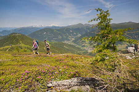 Almwanderung Kaiserburg