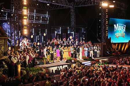 Sommer Musi VIP-Package