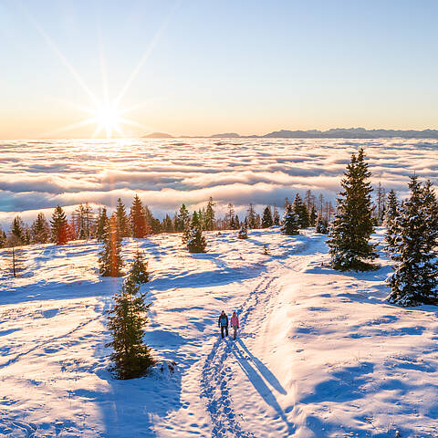 Langlauf- und Gehspuren führen durch eine weite Schneelandschaft in den Nockbergen unter blauem Himmel.
