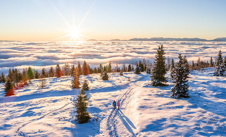 Langlauf- und Gehspuren führen durch eine weite Schneelandschaft in den Nockbergen unter blauem Himmel.