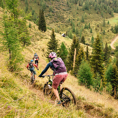 Geführte Mountainbike Touren ©Mathias Prägant_MBN Tourismus