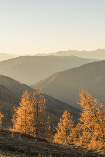 Ein ruhiger Wanderweg führt durch dichte Wälder in der Region Millstättersee - Nockberge © Franz Gerdl_MBN Tourismus