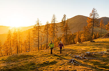 Pärchen wandert durch den goldenen Herbst am Nockberge-Trail