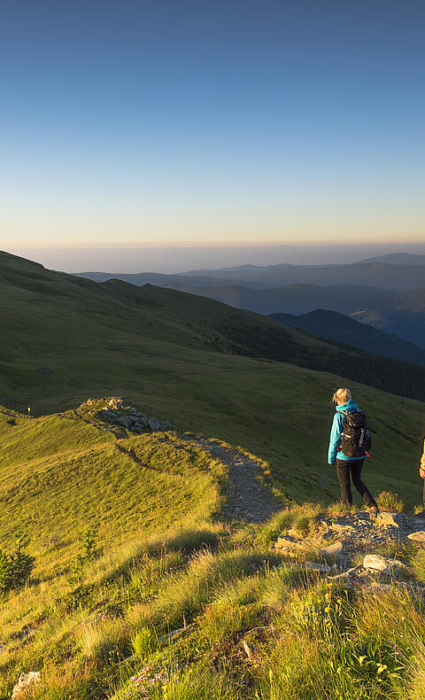 Wandern am Falkert © Franz Gerdl_MBN Tourismus
