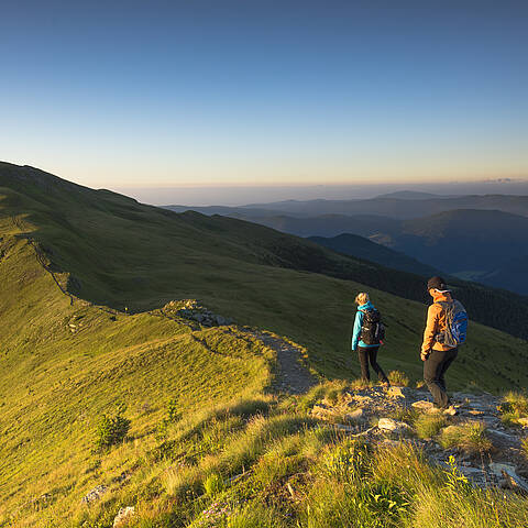 Wandern am Falkert © Franz Gerdl_MBN Tourismus