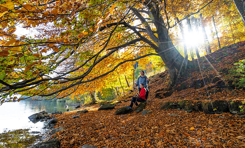 Pärchen sitzt im Herbst am Ufer des Millstätter Sees 