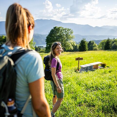 Natur genießen Zeitplatz Alpenrose ©Gert Perauer_MBN Tourismus