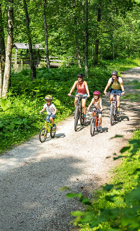 Radfahren durch die Nockberge © Gert Perauer_MBN Tourismus