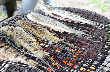 5 Fische liegen am heißen Grill beim Tag der Wildnis