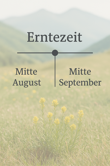 Erntezeitleiste mit Wiesenpanorama