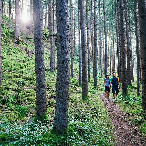 Ein malerischer Blick auf den Slow Trail, der durch dichte Wälder und entlang des klaren Wassers führt © Gert Perauer_MBN Tourismus