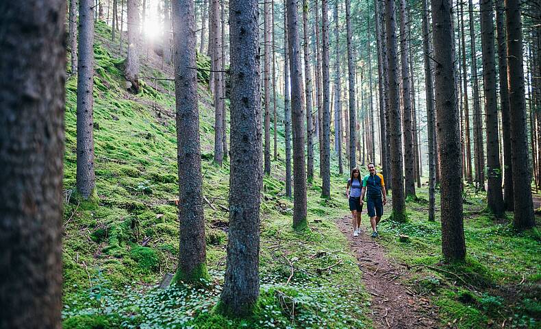 Ein malerischer Blick auf den Slow Trail, der durch dichte Wälder und entlang des klaren Wassers führt © Gert Perauer_MBN Tourismus