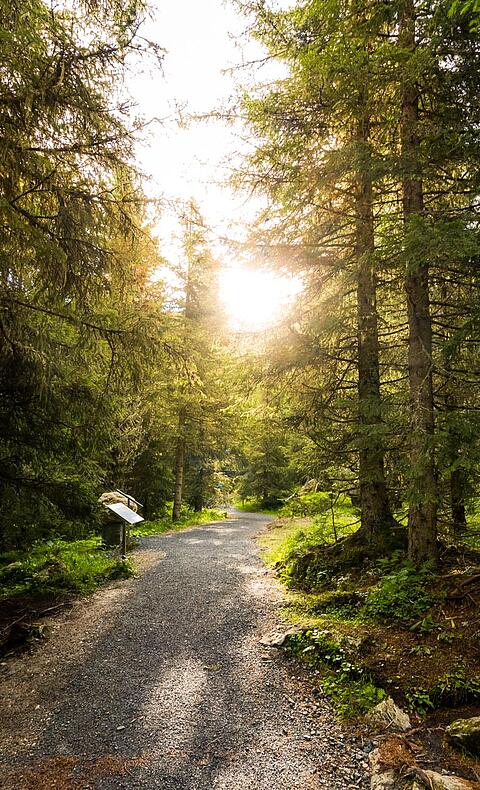 Grundalm Nockalmstraße © Michael Stabentheiner_KW