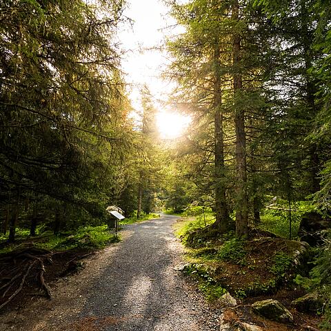 Grundalm Nockalmstraße © Michael Stabentheiner_KW