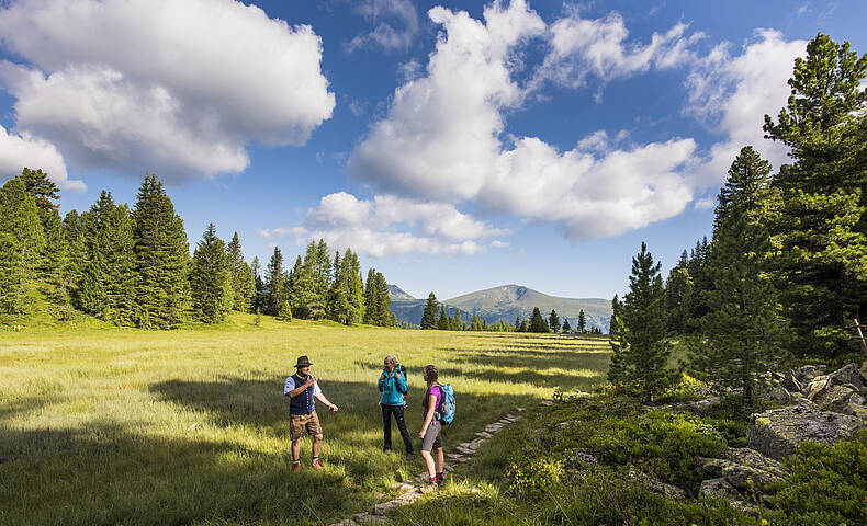 Wandern Turracher Höhe © TRN - Franz Gerdl