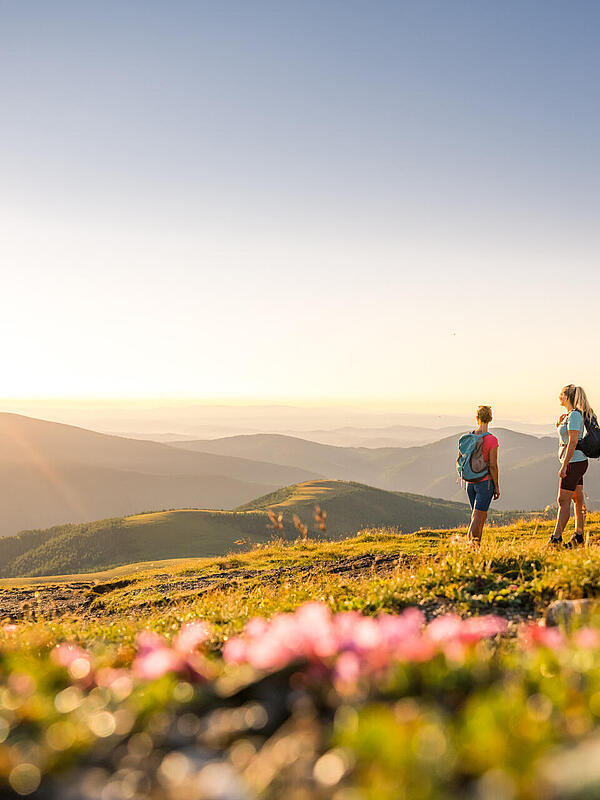 Goldenes Licht fällt über die sanften kuppen der Nockberge während zwei Wanderinnen über die blühenden Almwiesen am Falkert wandern