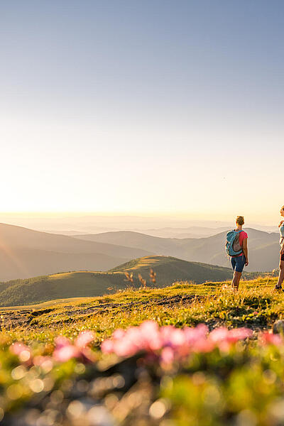 Goldenes Licht fällt über die sanften kuppen der Nockberge während zwei Wanderinnen über die blühenden Almwiesen am Falkert wandern