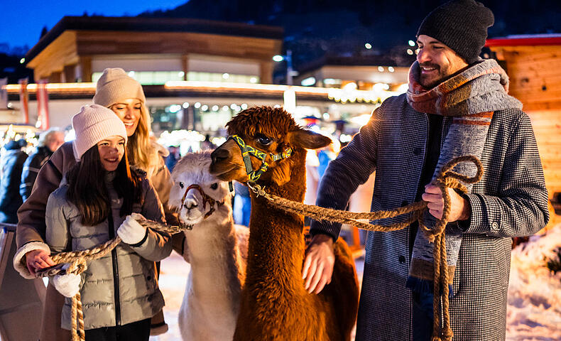 Alpaka streicheln am Kirchheimer Advent Familie streichel Alpaka am Kirchheimer Advent