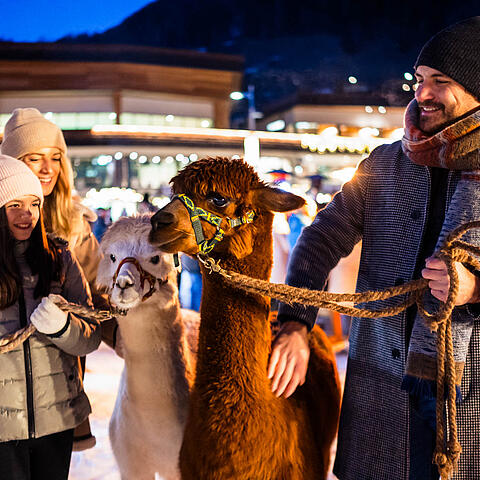 Familie streichel Alpaka am Kirchheimer Advent