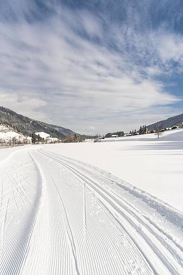 Abseits der Piste langlaufen in Gnesau © Franz Gerdl_MBN Tourismus