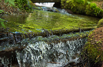 Wandern Tiebelquellen © Franz Gerdl_MBN Tourismus